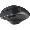 Natec Genesis Blackbird 2 Ασύρματο Ποντίκι Μαύρο