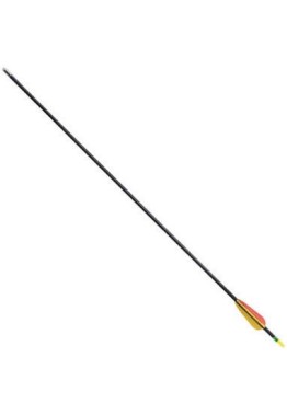 28'' Fiberglass Target Archery Arrow