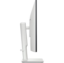 Dell Plus Monitor 31.5