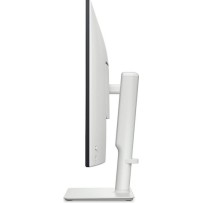 Dell Plus Monitor 31.5