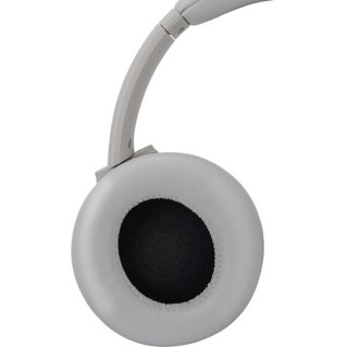 Panasonic RB-M600 Ασύρματα / Ενσύρματα On Ear Ακουστικά με 65 ώρες Λειτουργίας και Quick Charge Μπεζ