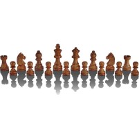 Millennium Schachcomputer King Performance Σκάκι από Ξύλο