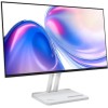 Lenovo L24-4C Monitor 23.8
