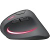 SpeedLink Piavo Pro Ασύρματο Εργονομικό Vertical Ποντίκι Μαύρο