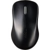 Rapoo Wireless Optical Mouse 1620 Ασύρματο Ποντίκι Μαύρο