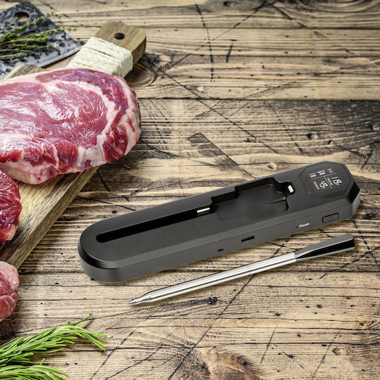 TFA Ψηφιακό Θερμόμετρο BBQ με Ακίδα