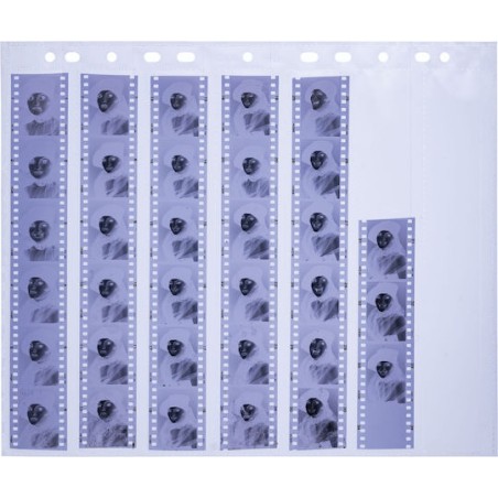 Herma Negative Packets PP Clear 25 Sheets/6-Strips Αξεσουάρ Φωτογραφικής Μηχανής 2τμχ