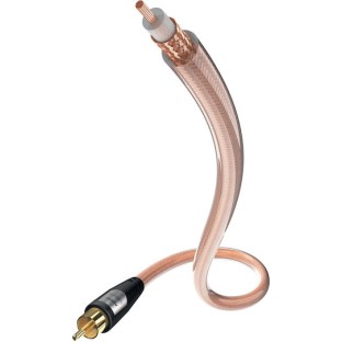 Inakustik Cable RCA male - RCA male 10m (003083101)