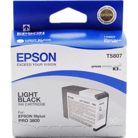 Epson T0587 Γνήσιο Μελάνι Εκτυπωτή InkJet Ανοιχτό Μαύρο (C13T580700)