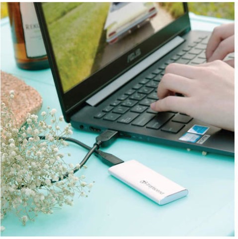 Transcend ESD240C USB 3.1 / USB-C Εξωτερικός SSD 480GB M.2 Ασημί