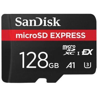 Sandisk Switch microSDHC 256GB U3 V30 A1 UHS-I 880MB/s