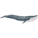 Schleich-S Wild Life Blue Whale για 3+ Ετών 4.9εκ.