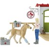 Schleich-S Veterinarian Practice With Pets για 3-8 Ετών
