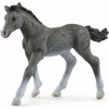 Schleich-S Πουλάρι Trakehner (Διάφορα Σχέδια)