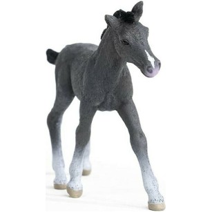 Schleich-S Πουλάρι Trakehner (Διάφορα Σχέδια)