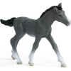 Schleich-S Πουλάρι Trakehner (Διάφορα Σχέδια)