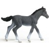 Schleich-S Πουλάρι Trakehner (Διάφορα Σχέδια)