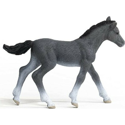 Schleich-S Πουλάρι Trakehner (Διάφορα Σχέδια)
