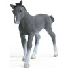 Schleich-S Πουλάρι Trakehner (Διάφορα Σχέδια)