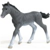 Schleich-S Πουλάρι Trakehner (Διάφορα Σχέδια)