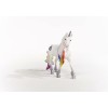 Schleich-S Μονόκερος Ουράνιου Τόξου Bayala για 5+ Ετών (Διάφορα Σχέδια)
