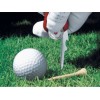 Victorinox Golf Ελβετικός Σουγιάς Κόκκινος