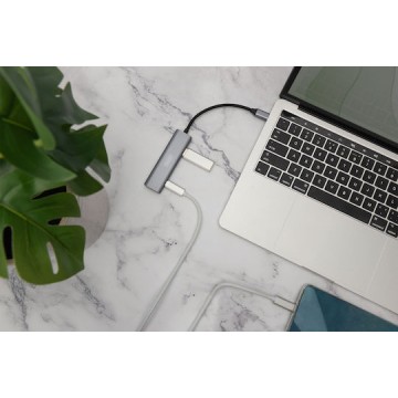 Digitus USB 3.1 Hub 4 Θυρών με σύνδεση USB-C Γκρι