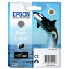 Epson T7607 Γνήσιο Μελάνι Εκτυπωτή InkJet Γκρι (C13T76074010)